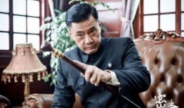 电视剧密查在线观看,揭秘暗流涌动的谍影世界